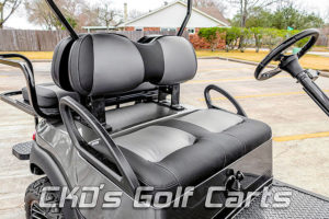 Custom 2016 Club Car Precedent Gas Powered - CKD's Golf Carts